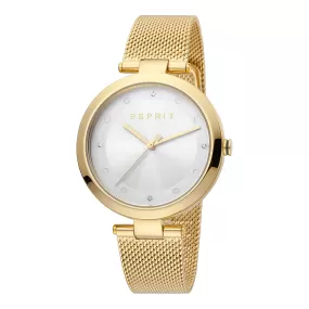 Esprit Stainless Steel Analog Women's Watch ES1L165M0065